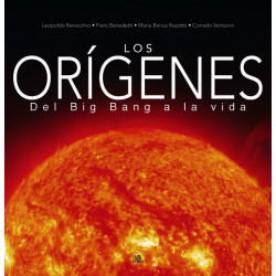 Origenes. Del Big Bang a la vida
