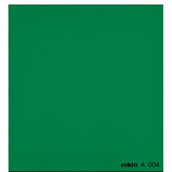 COKIN CREATIVE - Green filter - Small Size (A series)