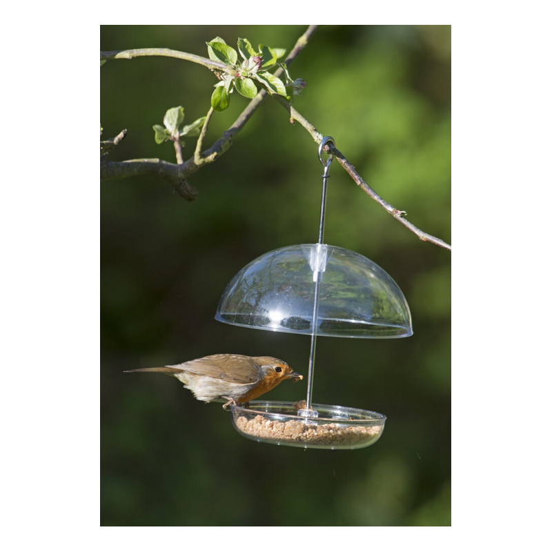 COMEDERO CUPULA POLICARBONATO