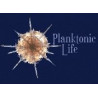 Planktonic life