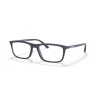 EMPORIO ARMANI 4160 50881W 55