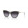 EMPORIO ARMANI 4251 62628G 54