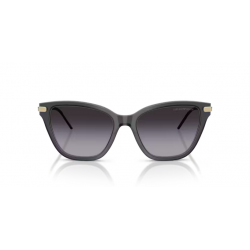 EMPORIO ARMANI 4251 62628G 54