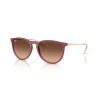 Ray-Ban® 4171 6815A5 54