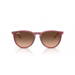 Ray-Ban® 4171 6815A5 54