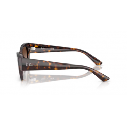 Ray-Ban® 4430 135913 49