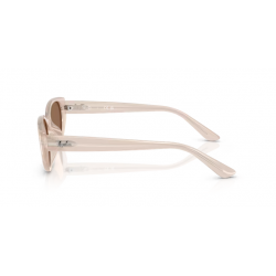 Ray-Ban® 4457D 678673 55