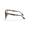 Ray-Ban® 4378V 2012 54