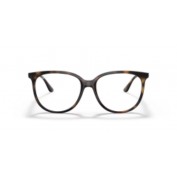 Ray-Ban® 4378V 2012 54