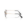 Ray-Ban® 3447V 3173 47