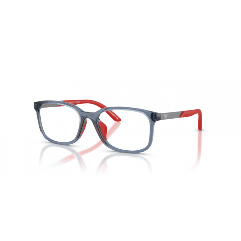EMPORIO ARMANI 3008U 6278 49