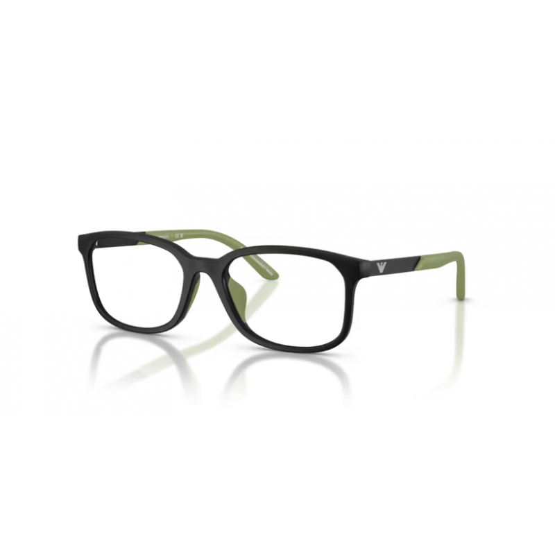EMPORIO ARMANI 3008U 5001 49