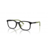 EMPORIO ARMANI 3008U 5001 49