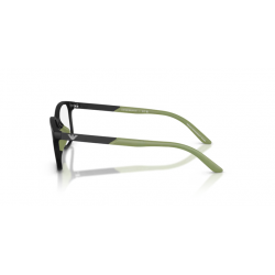 EMPORIO ARMANI 3008U 5001 49