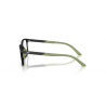 EMPORIO ARMANI 3008U 5001 49
