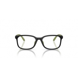EMPORIO ARMANI 3008U 5001 49