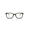 EMPORIO ARMANI 3008U 5001 49