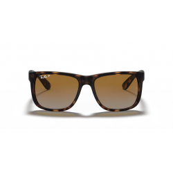 Ray-Ban® 4165 865/T5 55