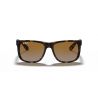 Ray-Ban® 4165 865/T5 55