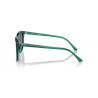 Ray-Ban® 2210 6615B1 53