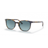 Ray-Ban® 2197 13563M 52