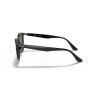 Ray-Ban® 4259 601/71 51
