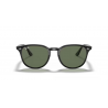 Ray-Ban® 4259 601/71 51