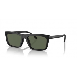 ARNETTE 4333 27581W 55