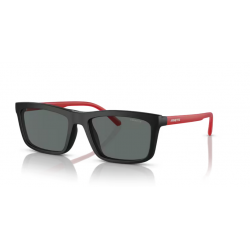 ARNETTE 4333 29311W 55