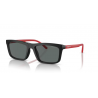 ARNETTE 4333 29311W 55