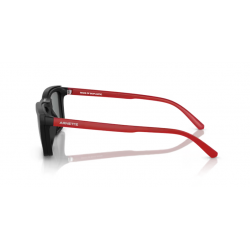 ARNETTE 4333 29311W 55