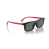ARNETTE 4333 29311W 55
