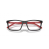 ARNETTE 4333 29311W 55