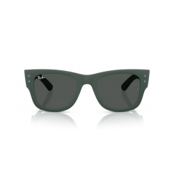 Ray-Ban® 4840S 665787 50