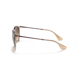 Ray-Ban® 4171 651413 54