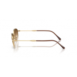 Ray-Ban® 3749 001/51 55