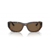 VOGUE 5586S W65673 53