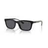 EMPORIO ARMANI 4249U 5001 81 55