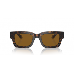 GIORGIO ARMANI  8184U 6124333 52