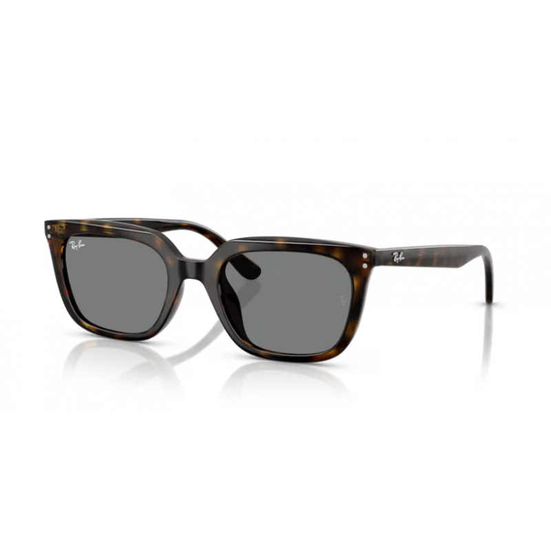 Ray-Ban® 4439D 710/8754