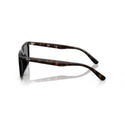 Ray-Ban® 4439D 710/8754