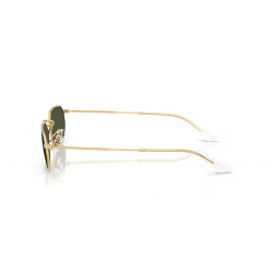 Ray-Ban® 3947 001/3157