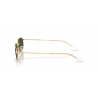 Ray-Ban® 3947 001/3157