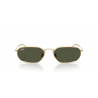 Ray-Ban® 3947 001/3157