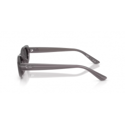 Ray-Ban® 4441D 677787 53