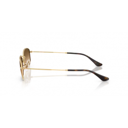 Ray-Ban® 3832 001/5155