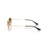 Ray-Ban® 3832 001/5155