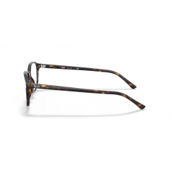 Ray-Ban® 5393 2012 49
