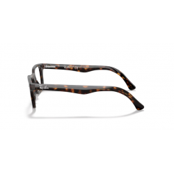 Ray-Ban® 5228 2012 53