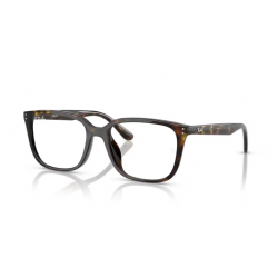 Ray-Ban® 7248D 2012 55